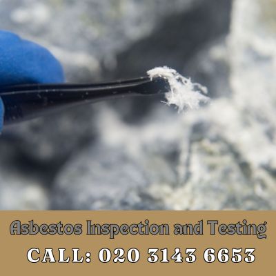 Comprehensive Asbestos Inspection and Testing Services in Effingham